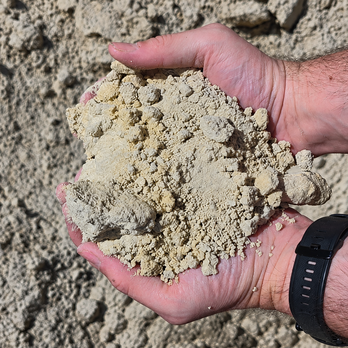 Coastal Brick Sand — Bricklaying Sand Melbourne