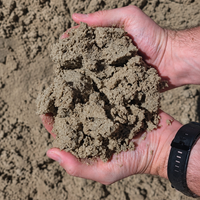 Ivory Brick Sand