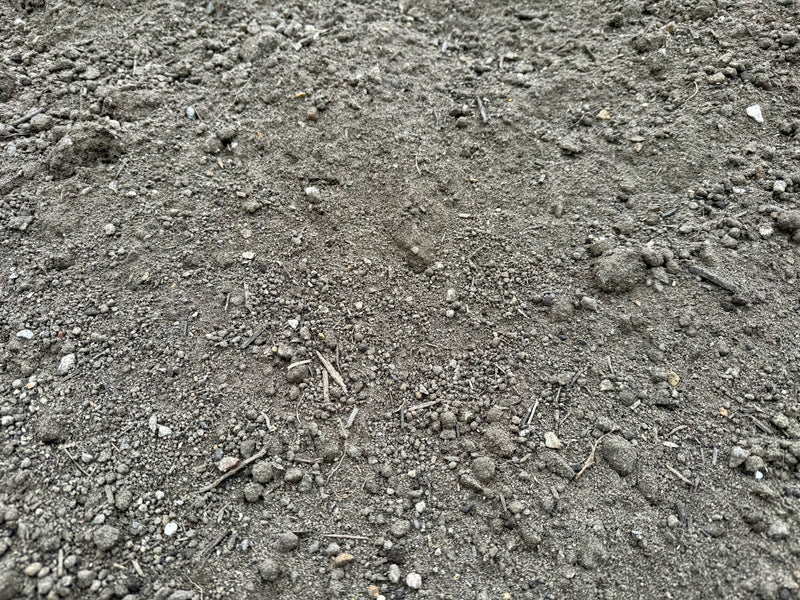 Lawn Mix