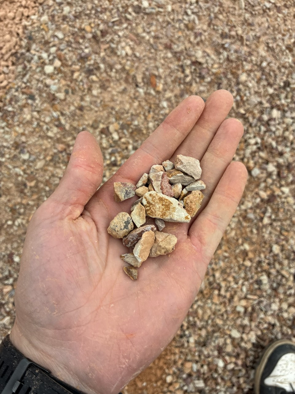 Tuscan Toppings